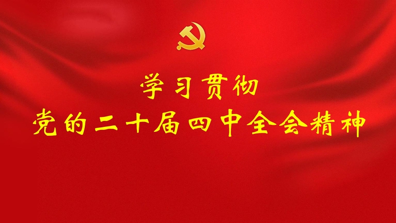 党的第二十届四中全会精神